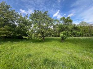 Prodej pozemku, Hřibojedy, 2371 m2