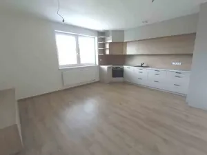 Prodej bytu 4+kk, Přísnotice, Výhon, 151 m2