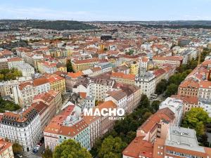 Prodej bytu 2+kk, Praha - Vinohrady, Londýnská, 45 m2