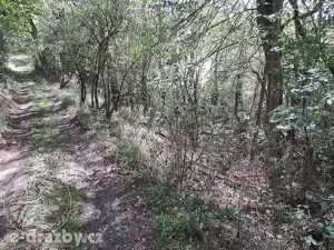 Dražba pozemku, Želízy, 3979 m2