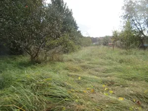 Prodej pozemku pro bydlení, Skály, 1000 m2