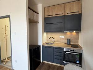 Pronájem bytu 1+kk, Rožnov pod Radhoštěm, Valašská, 28 m2