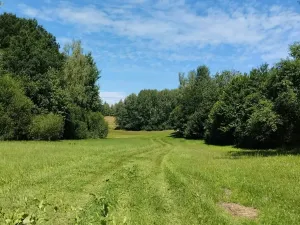 Prodej louky, Babice, 45608 m2