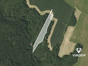 Prodej lesa, Fulnek, 9491 m2