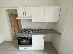 Pronájem bytu 1+1, Litvínov, Seifertova, 25 m2