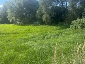 Prodej pozemku, Mikulovice, 80 m2