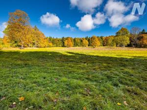 Prodej louky, Stožec, 6572 m2
