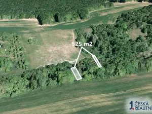 Prodej lesa, Hradčovice, 525 m2