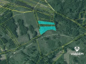 Prodej lesa, Dačice, 13651 m2