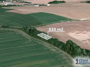 Prodej lesa, Počenice-Tetětice, 630 m2