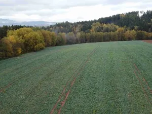 Dražba pole, Staré Buky, 71140 m2