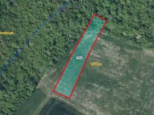 Prodej pole, Třebenice, 1493 m2