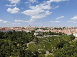 Prodej bytu 3+kk, Praha - Vinohrady, Bělehradská, 89 m2