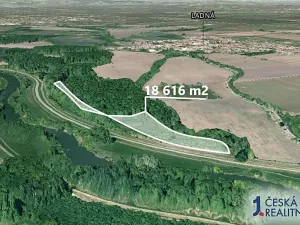 Prodej podílu lesa, Ladná, 1692 m2