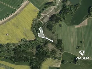 Prodej podílu lesa, Žirovnice, 1457 m2