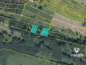 Prodej podílu lesa, Dešov, 806 m2