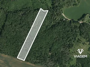 Prodej podílu lesa, Prštice, 1259 m2