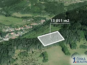 Prodej podílu lesa, Koroužné, 3262 m2