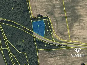 Prodej podílu lesa, Mladějov na Moravě, 1594 m2