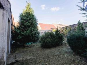 Prodej vícegeneračního domu, Kožlany, 192 m2