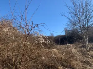 Dražba pozemku, Brandýs nad Labem-Stará Boleslav, 1631 m2