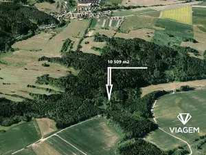 Prodej lesa, Bochovice, 10509 m2