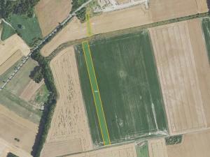 Prodej pole, Dolany, 41267 m2