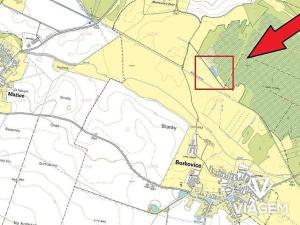 Prodej lesa, Borkovice, 3561 m2