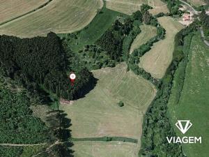 Prodej podílu lesa, Radošovice, 1094 m2