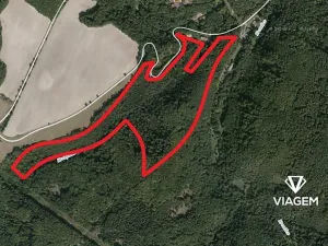 Prodej podílu lesa, Hrabyně, 20047 m2