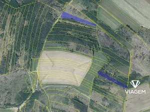 Prodej podílu lesa, Věžnice, 469 m2