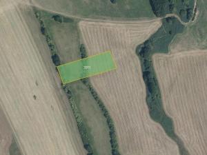 Prodej louky, Nový Malín, 5653 m2