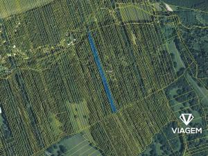 Prodej podílu lesa, Kněždub, 3060 m2