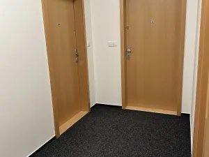 Pronájem bytu 2+kk, Praha - Podolí, V rovinách, 67 m2
