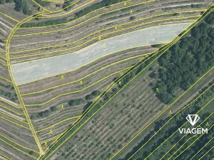 Prodej pole, Lovčičky, 4619 m2