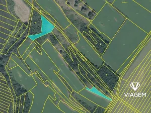 Prodej podílu pole, Černín, 1333 m2