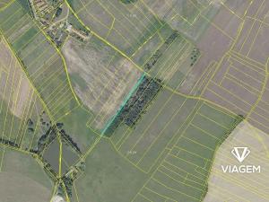 Prodej podílu pole, Hlavečník, 524 m2