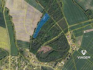 Prodej podílu zahrady, Lány u Dašic, 1768 m2