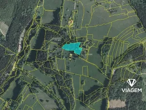 Prodej podílu lesa, Valašská Senice, 4990 m2