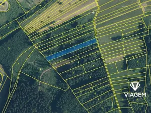 Prodej podílu lesa, Halenkov, 743 m2