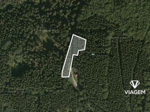 Prodej podílu lesa, Morávka, 2066 m2