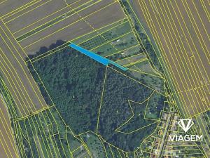 Prodej podílu lesa, Březolupy, 446 m2