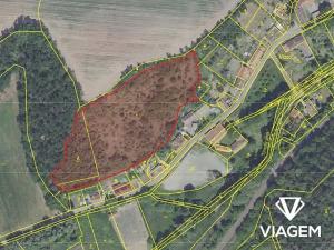 Prodej podílu pole, Koleč, 3539 m2