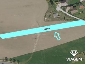 Prodej pole, Štramberk, 1135 m2