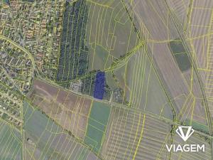 Prodej podílu lesa, Sokoleč, 884 m2