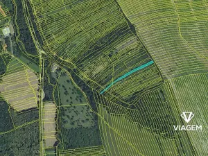 Prodej podílu zahrady, Veletiny, 306 m2