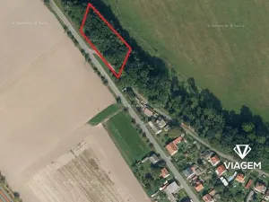 Prodej lesa, Zámrsk, 2073 m2