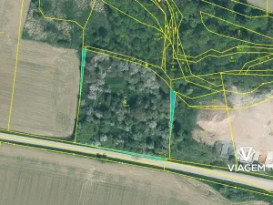 Prodej podílu pole, Blovice, 123 m2