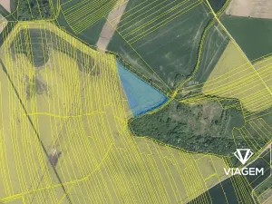 Prodej podílu pole, Koryčany, 3454 m2