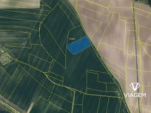 Prodej pole, Vinařice, 9786 m2